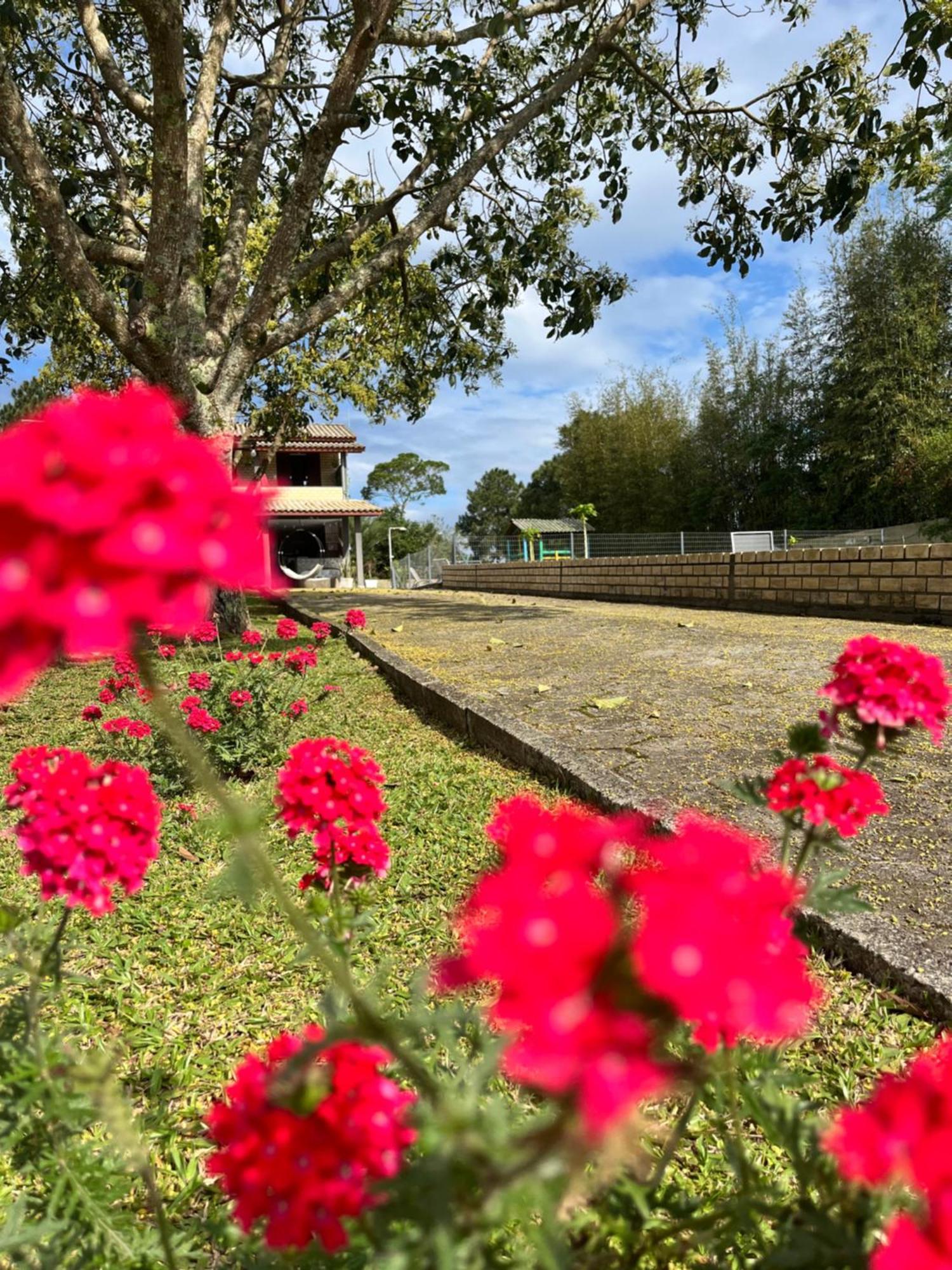 Encantos Do Rosa インビトゥバ エクステリア 写真